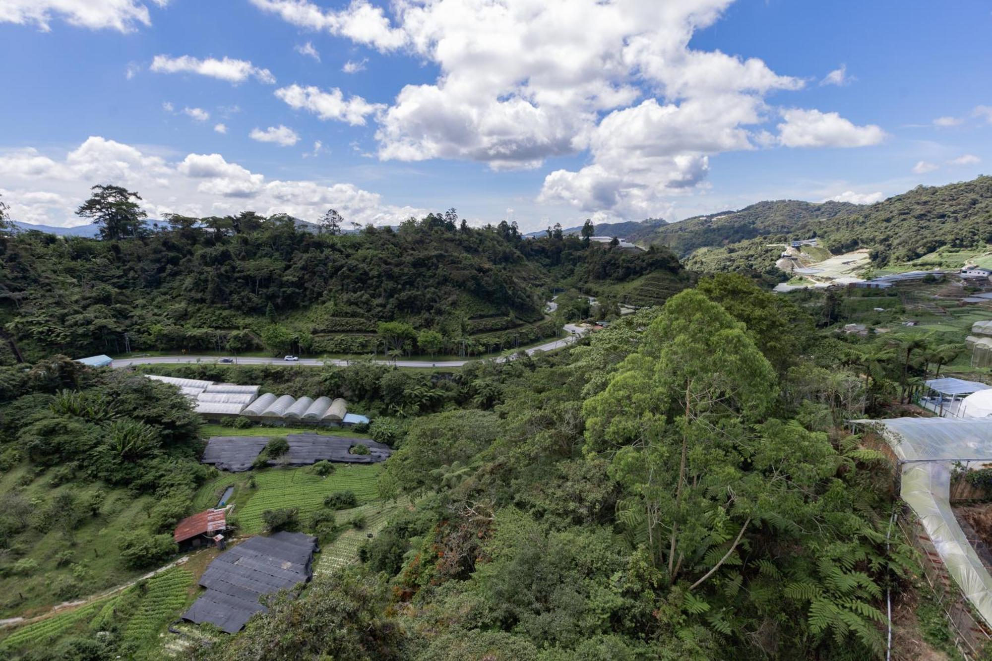 Hills Aranda Nova Hotel キャメロンハイランド エクステリア 写真